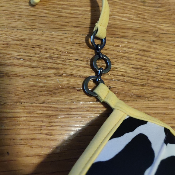 Zebra Print Push-up Bikini - Picture 3 of 5